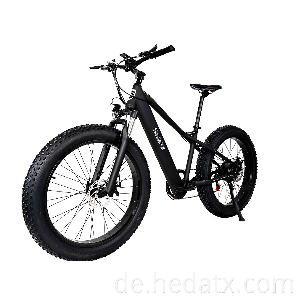 Foldable Electric Fat Tire Bike